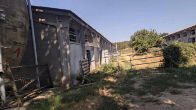 Immobile in asta di 2893 m² in vendita a Vicchio - Foto 2