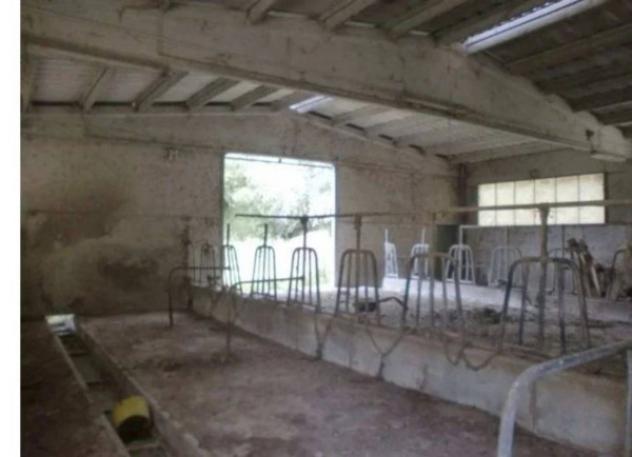 Immobile in asta di 267 m² con più di 5 locali in vendita a Nocera Umbra - Foto 12