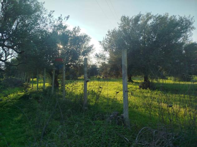 Villa singola in vendita a Noto - Foto 9