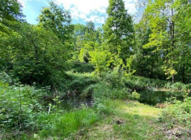 Immobile in asta di 6 m² in vendita a Bisuschio - Foto 4