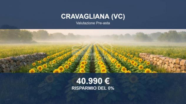 Immobile in asta di 39210 m² in vendita a Cravagliana