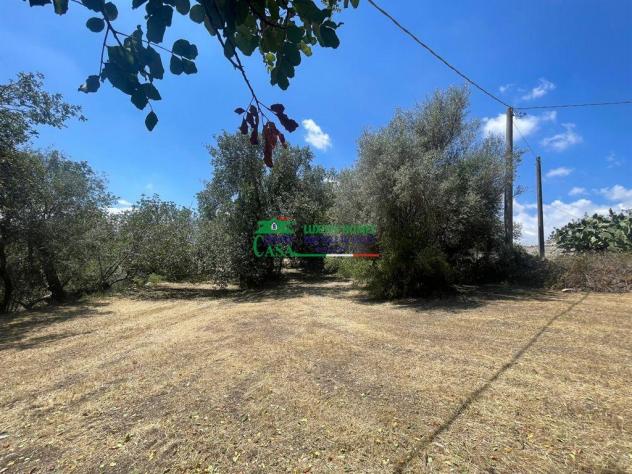 Rif.2616 Casale con Terreno a Frigintini - Modica - Foto 15