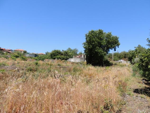 Agricolo in affitto a Tremestieri Etneo - Foto 9