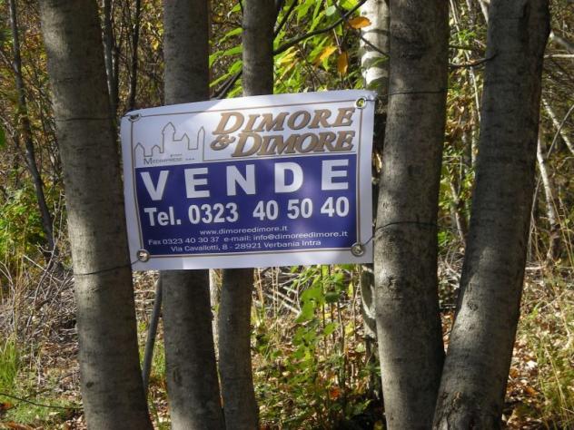 Terreno edificabile in vendita a Miazzina - Foto 8