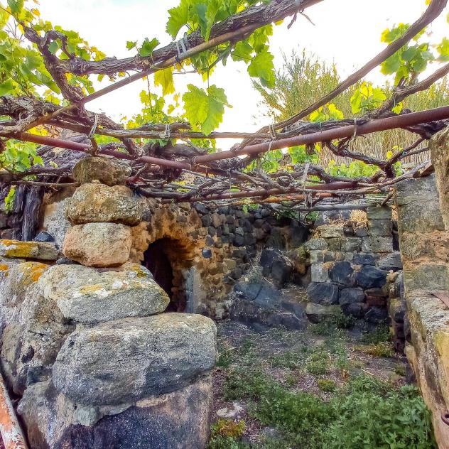 Altro in vendita a Pantelleria - Foto 9