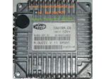 Guzzi centralina motore Magneti Marelli IAW15M