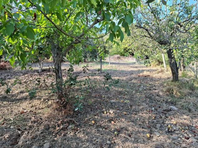 Agricolo in Via Alberto Moravia - Foto 11