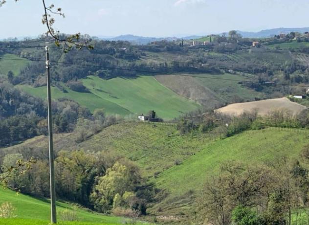 Immobile in asta di 81830 m² in vendita a Monte Vidon Combatte - Foto 3