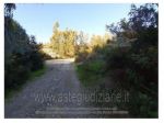 IMMOBILI-ALTRA CATEGORIA-Strada Narcao-Terraseo/Perdauxia