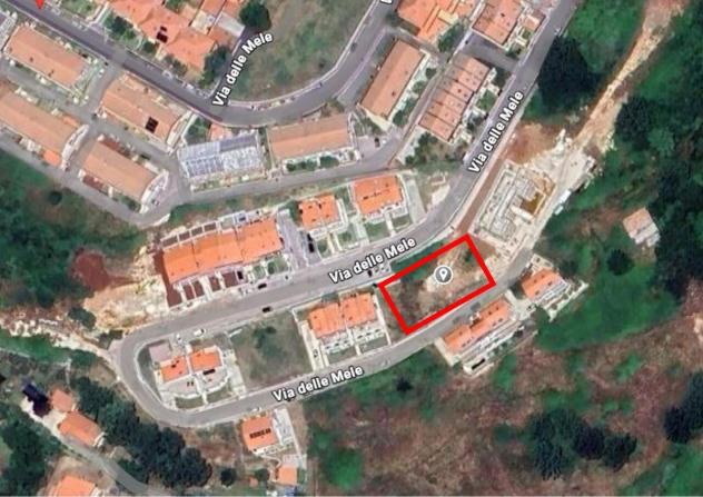 Agricolo in vendita a Segni - Foto 8