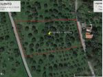 Agricolo in Località Caselle