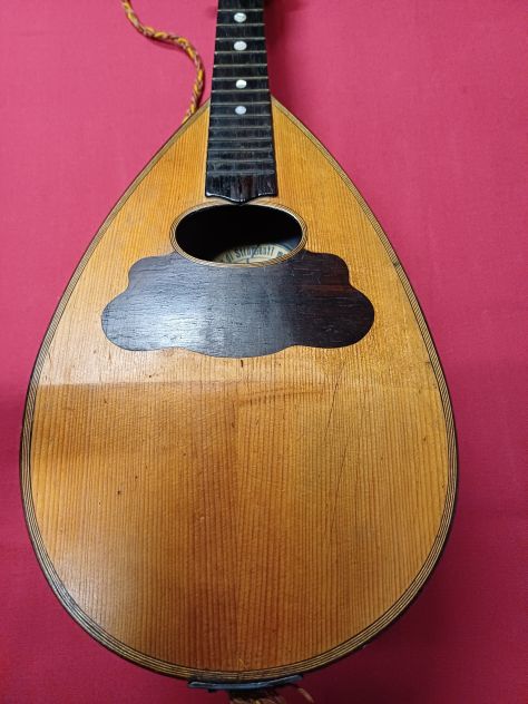 Mandolino Napoletano Luigi Fenga - Foto 10