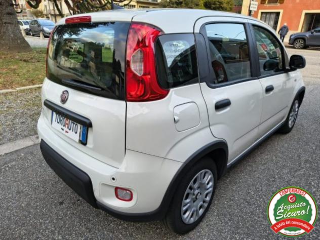 FIAT Panda 1.0 FireFly S&S Hybrid Pandina UN.PROP. rif. 24170165 - Foto 7