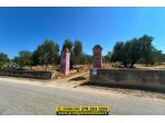 STORICA MASSERIA FORTIFICATA IN VENDITA