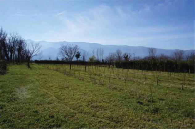 Immobile in asta di 186 m² in vendita a Montesarchio - Foto 3