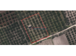 PIETRETAGLIATE – Terreno agricolo di 4.000 mq ca. + magazzino di 30 mq ca.  &hellip;