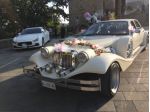 Elegante Jaguar Royale