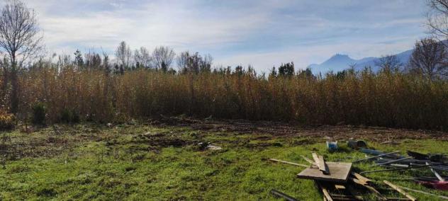 Prato in vendita a Cassino - Foto 2
