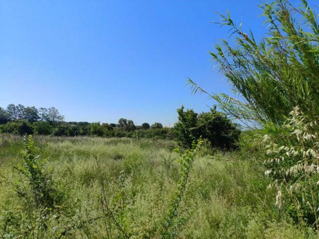 Seminativo in vendita a Cerveteri - Foto 5