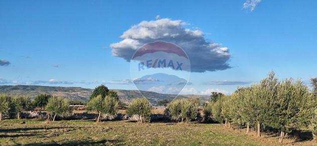 Terreno in vendita a Rosolini