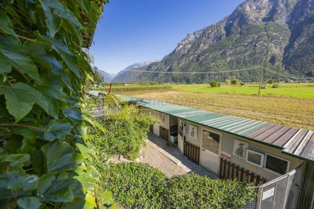 Si propone tenuta adibita ad allevamento per trasferimento attività - Foto 11