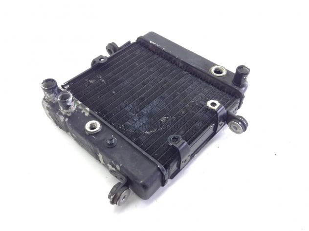 HONDA FORESIGHT 250 RADIATORE ACQUA LIQUIDO RAFFREDDAMENTO MOTORE 1998 2004