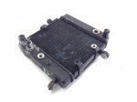 HONDA FORESIGHT 250 RADIATORE ACQUA LIQUIDO RAFFREDDAMENTO MOTORE 1998 2004