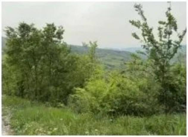 Immobile in asta di 11603 m² in vendita a Ruoti - Foto 12