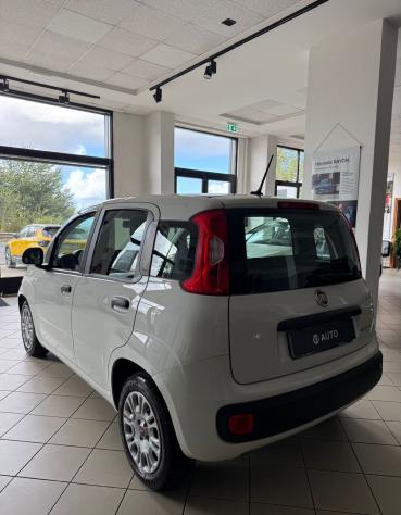 Fiat Panda 1.0 FireFly S&S Hybrid - Foto 5