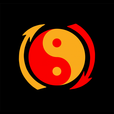 Jeet Kune Do a Camposano!