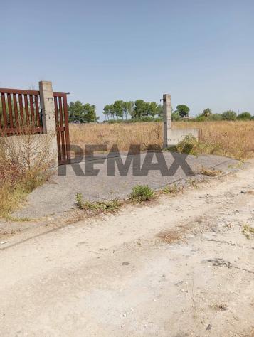 Terreno in vendita a Carlentini - Foto 2