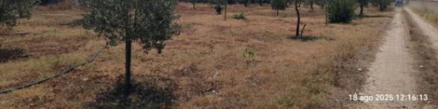 Immobile in asta di 50 m² in vendita a Castelvetrano - Foto 3