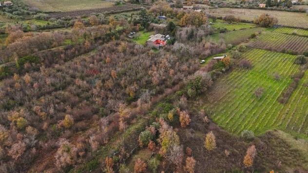 Terreno Edificabile in vendita a Randazzo, Montelaguardia - Foto 7