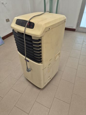 CLIMATIZZATORE CARRELLATO SAID USATO - Foto 5