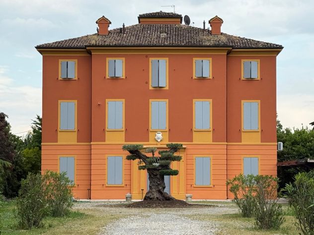 Cercasi OSS e/o OSA