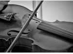 Violinista ad Asti