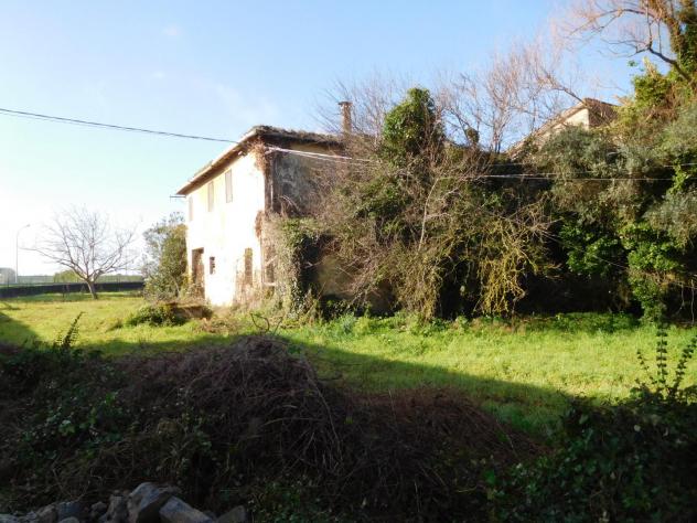 Colonica in vendita a Migliarino - Vecchiano 2850 mq Rif: 1295864 - Foto 5