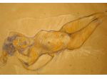Modelle e modelli per corso di disegno a Perugia