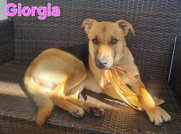 Cucciola meravigliosa!!!