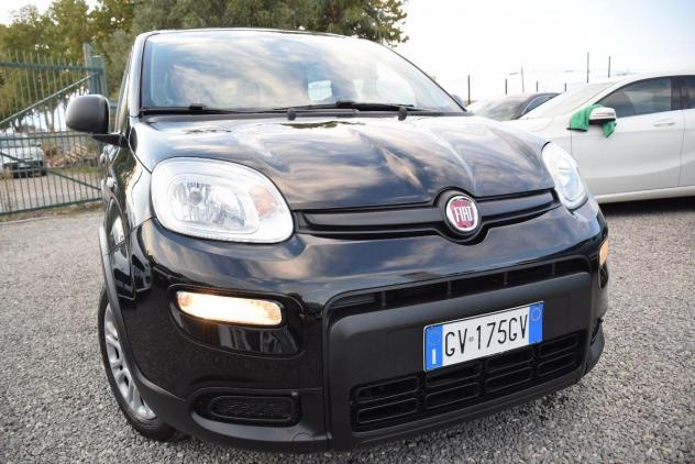 FIAT Panda 1.0 FireFly Hybrid (BENZINA/ELETTRICA) CLIMA - BLUETOOTH - OK NEOPATENTATI - IVA DETRAIBILE