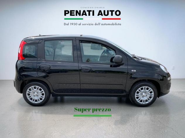 FIAT Pandina 1.0 FireFly 65cv S&S 6m Hybrid Icon - Foto 5