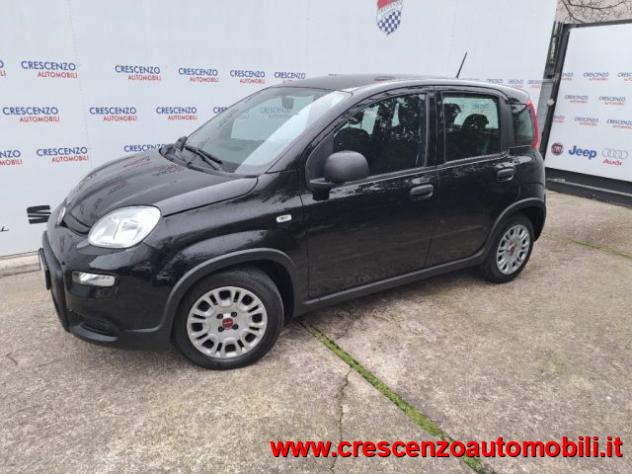 FIAT Panda 1.0 FireFly S&S Hybrid Pandina - AZIENDALE rif. 23794277 - Foto 4