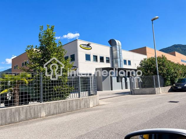 ATTIVITÀ DI AUTOCARROZZERIA COMPLETA, CON CAPANNONE ATTREZZATO - Foto 3