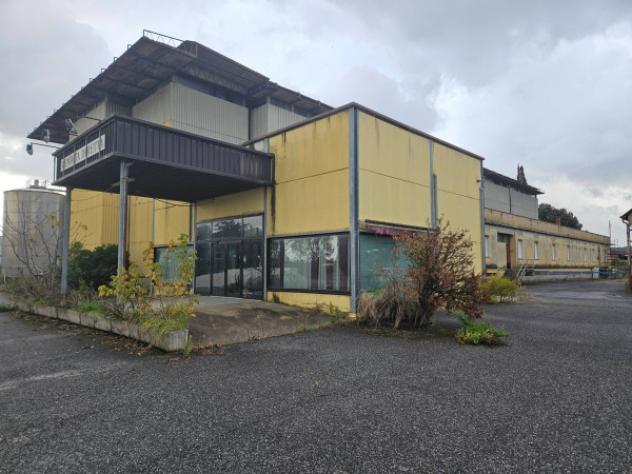 Immobile in asta di 7600 m² in vendita a Crespina e Lorenzana - Foto 2