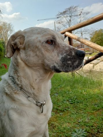 UNA MAMMA PER BIANCHINO