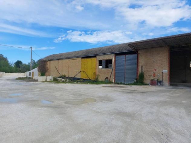 Immobile in asta di 17000 m² in vendita a Ari - Foto 4
