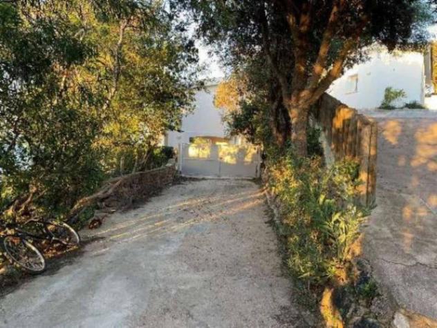 Immobile in asta di 8168 m² in vendita a Arzachena - Foto 9