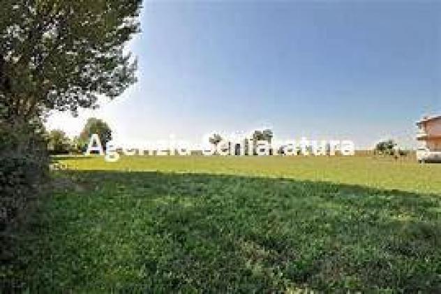 BORGO SANTA MARIA VENDESI TERRENO AGRICOLO IN BELLA POSIZIONE MQ. 2.324