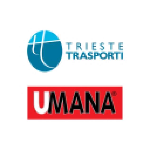 Autista / Conducente di Autobus