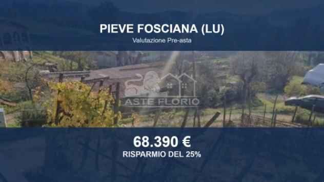 Immobile in asta di 174275 m² in vendita a Pieve Fosciana